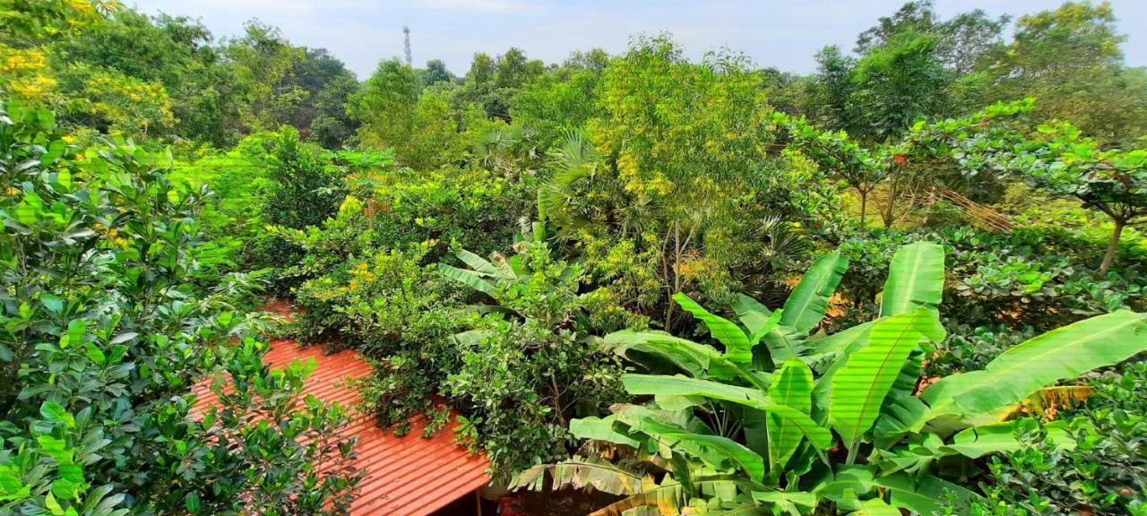 Unearth Hostel أورفيلا المظهر الخارجي الصورة